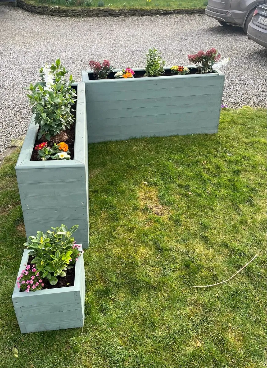 PLANTERS - Image 1