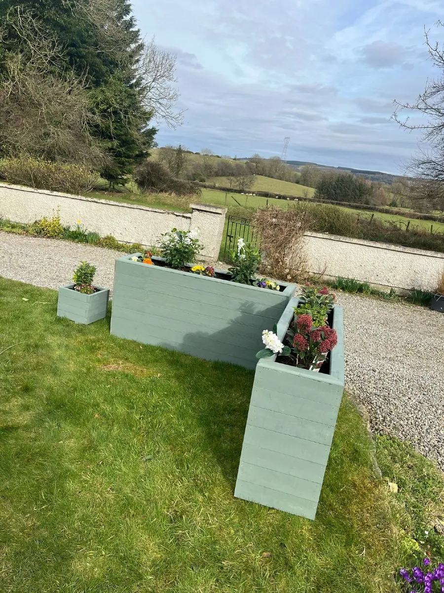 PLANTERS - Image 2