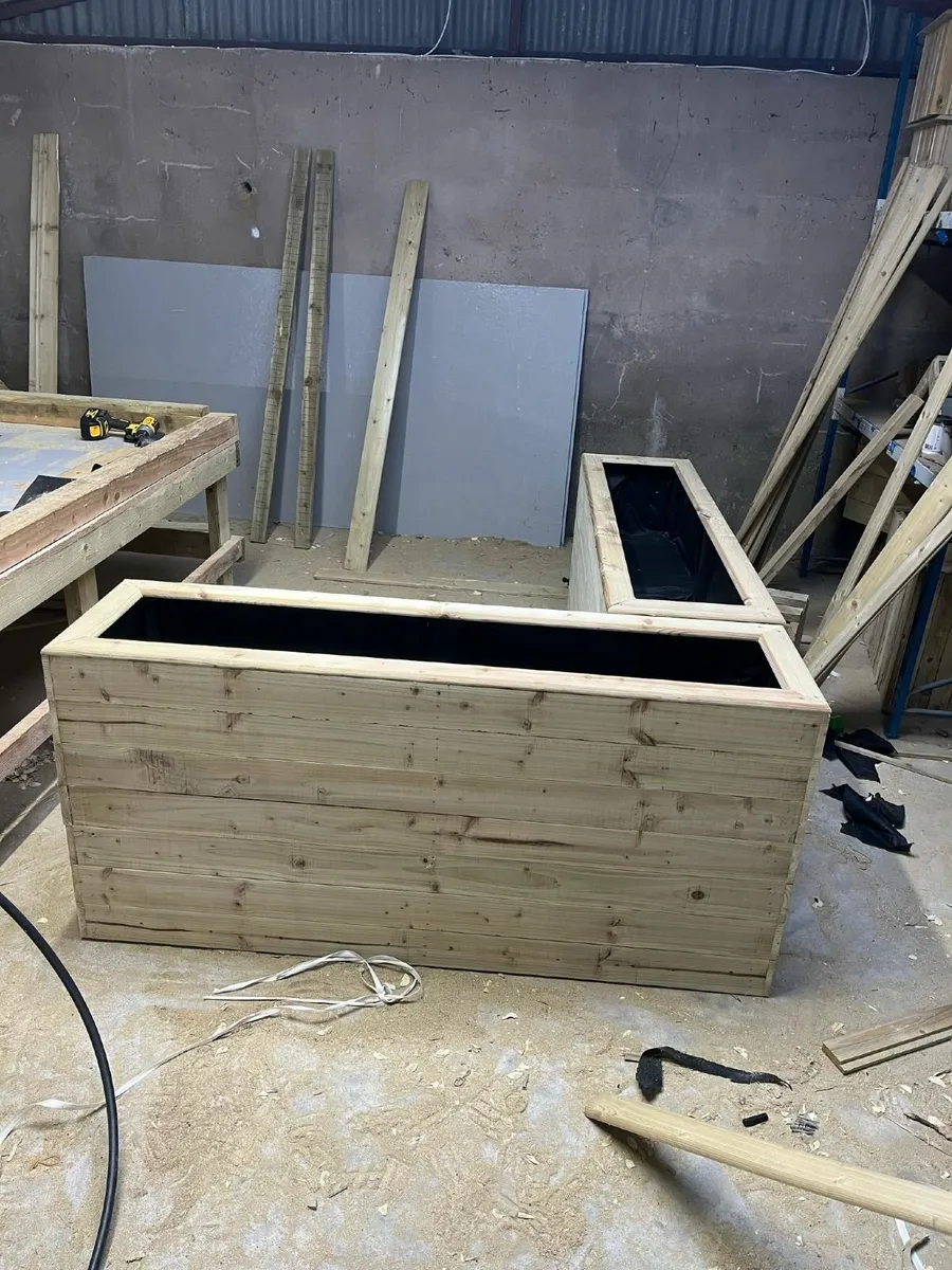 PLANTERS - Image 4