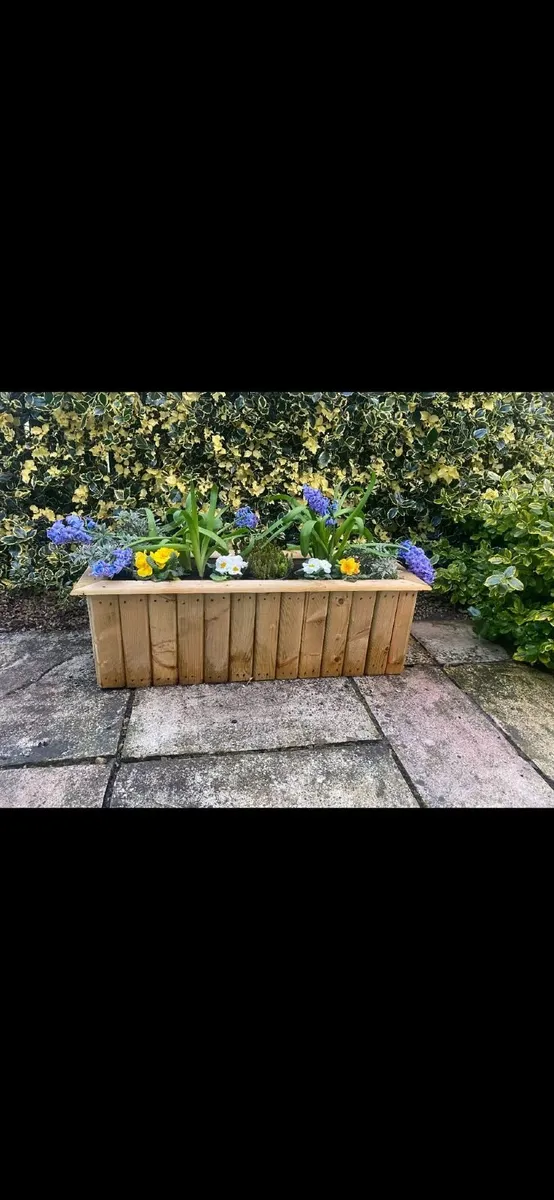 Plant Pots - Image 1