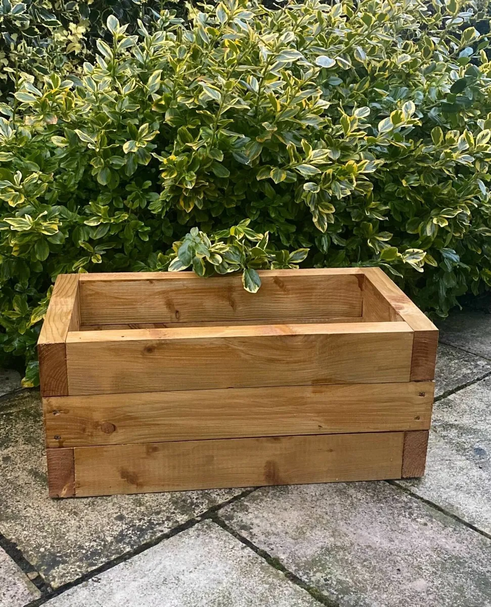 Plant Pots - Image 4