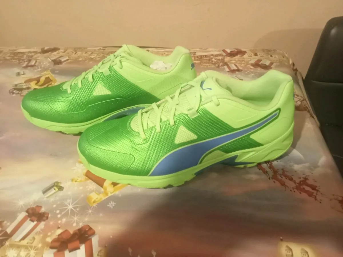 Pair of new Cricket/Golf Shoes - Image 1