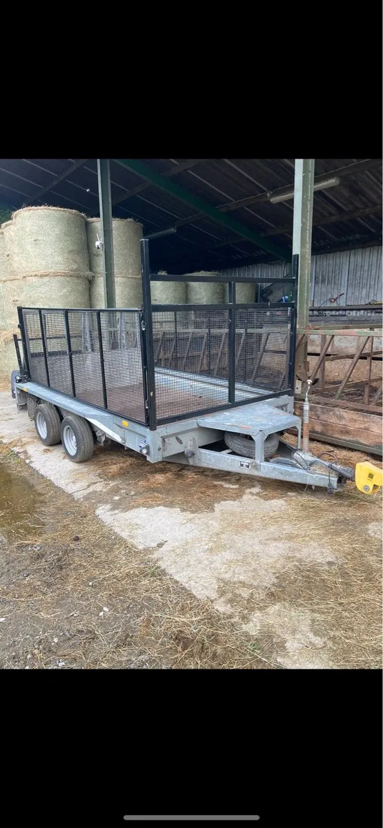 (MESH SIDES ONLY )for 10x6’1 plant trailer - Image 2