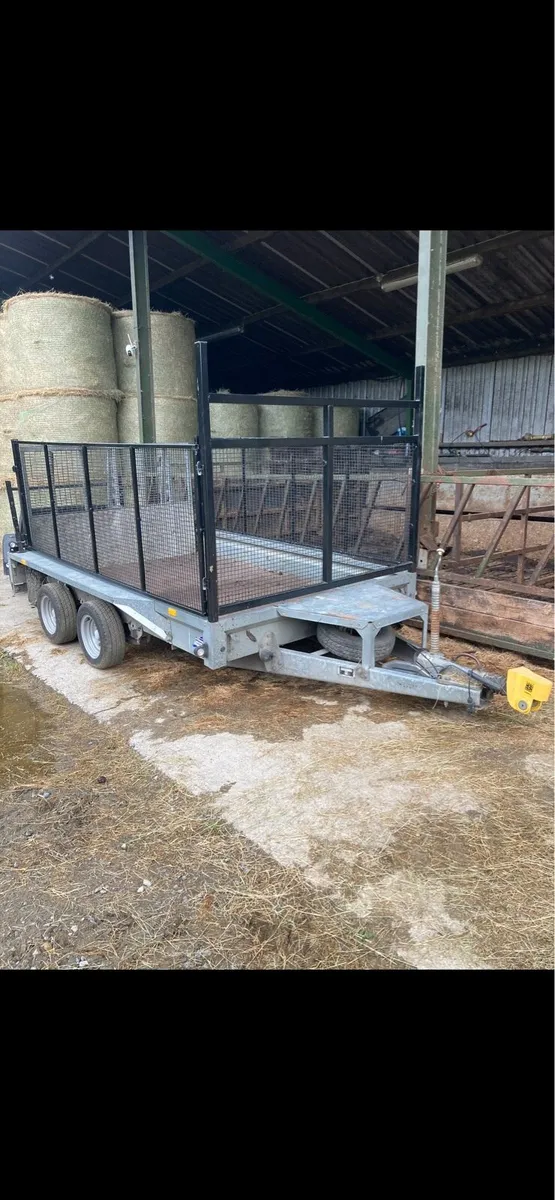 (MESH SIDES ONLY )for 10x6’1 plant trailer - Image 3