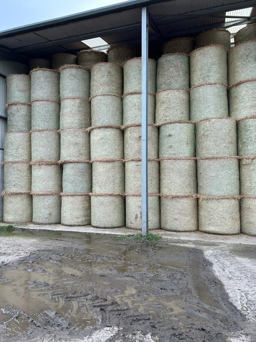 Straw for sale - Image 1