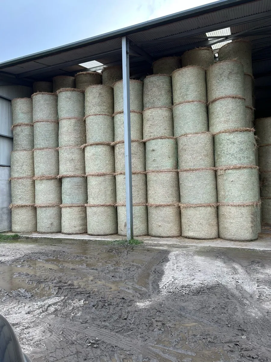 Straw for sale - Image 2