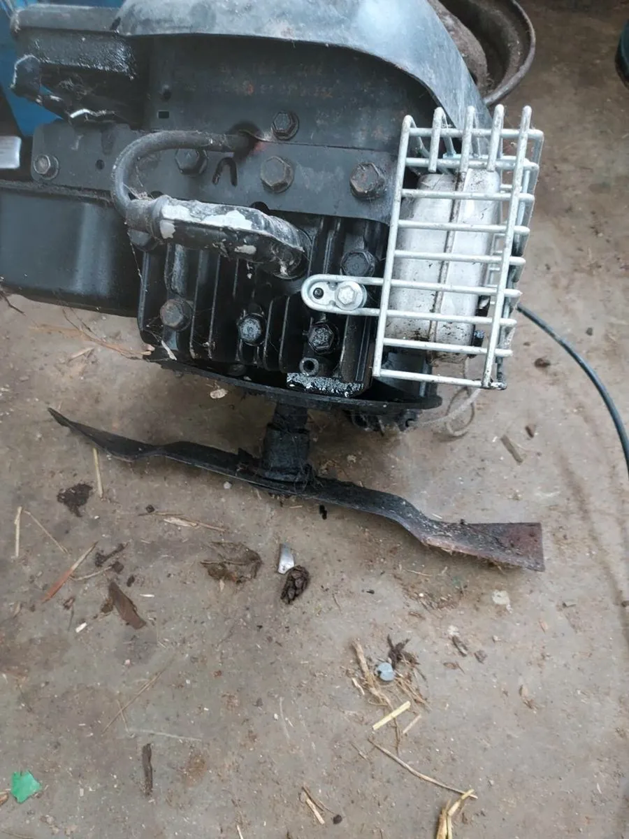 Leaf blower, engine - Image 4