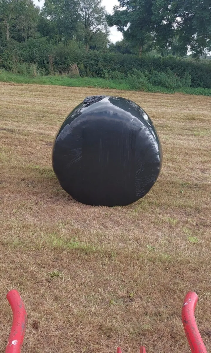 Silage