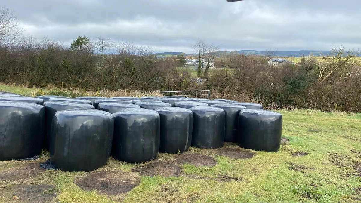 Silage bales