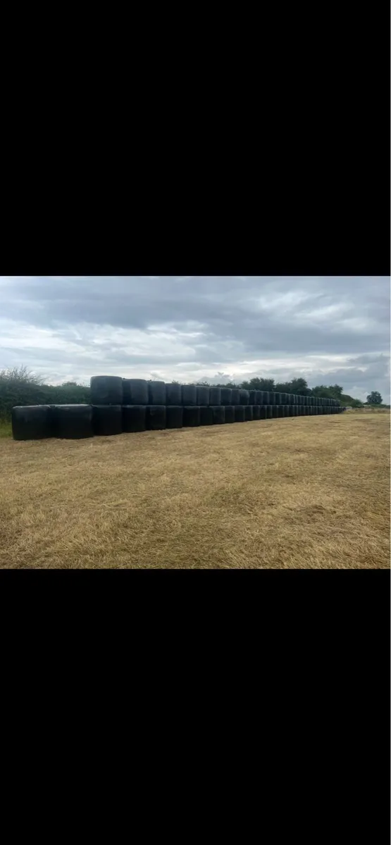 Silage/Haylage bales - Image 1