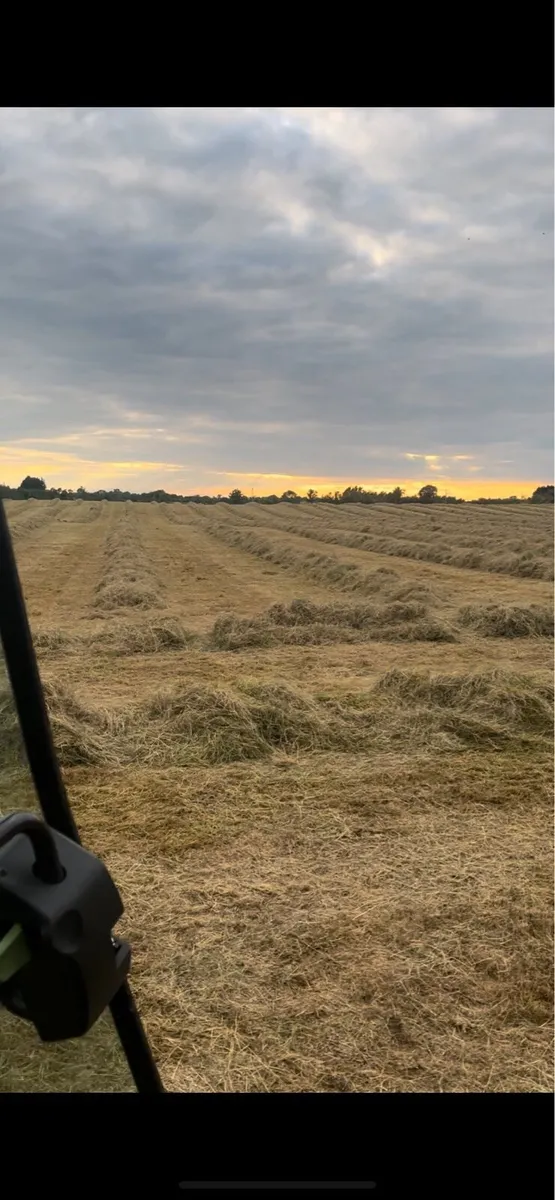 Silage/Haylage bales - Image 3