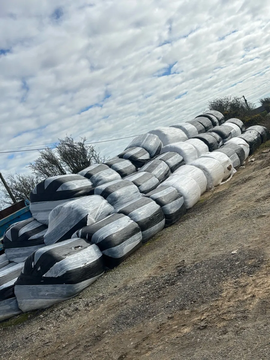 Silage