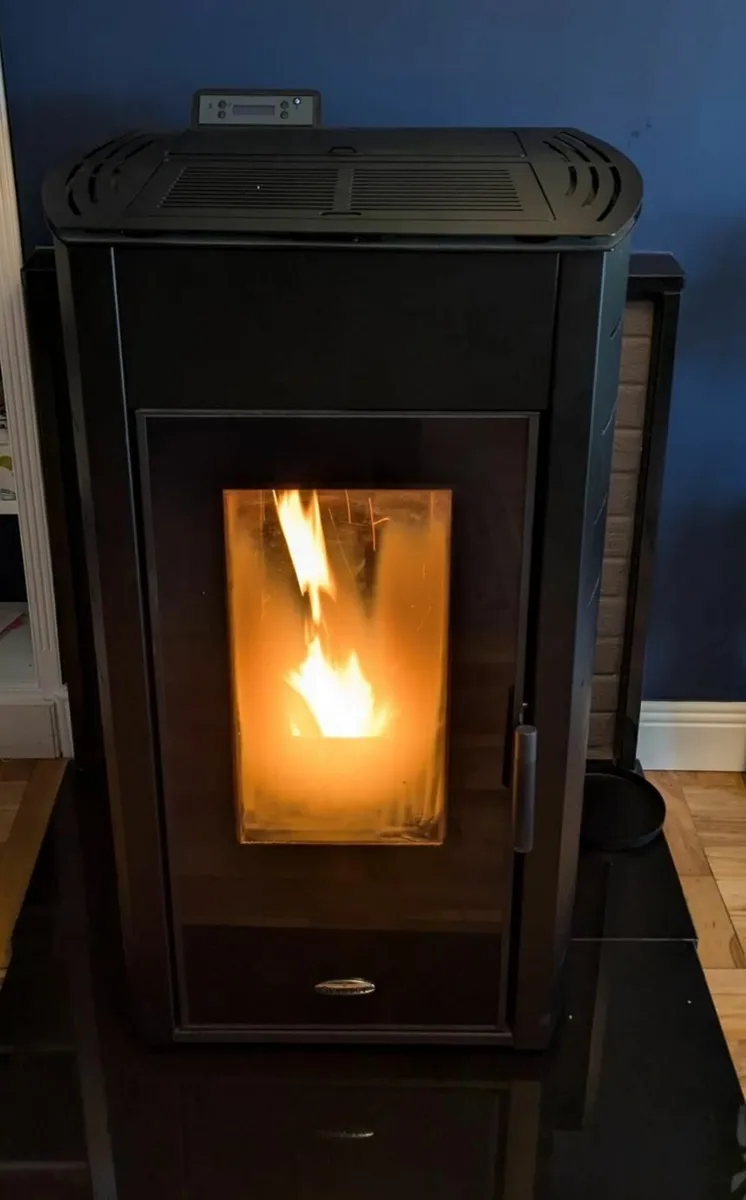 Stanley Solis K1700 Wood Pellet Boiler - Image 1