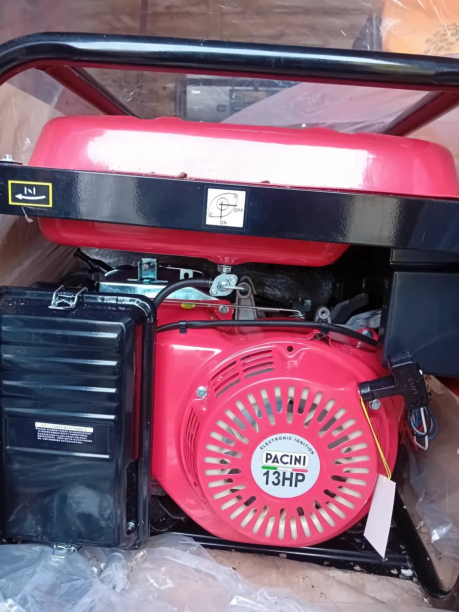 Pacini: Domestic petrol generator. - Image 3