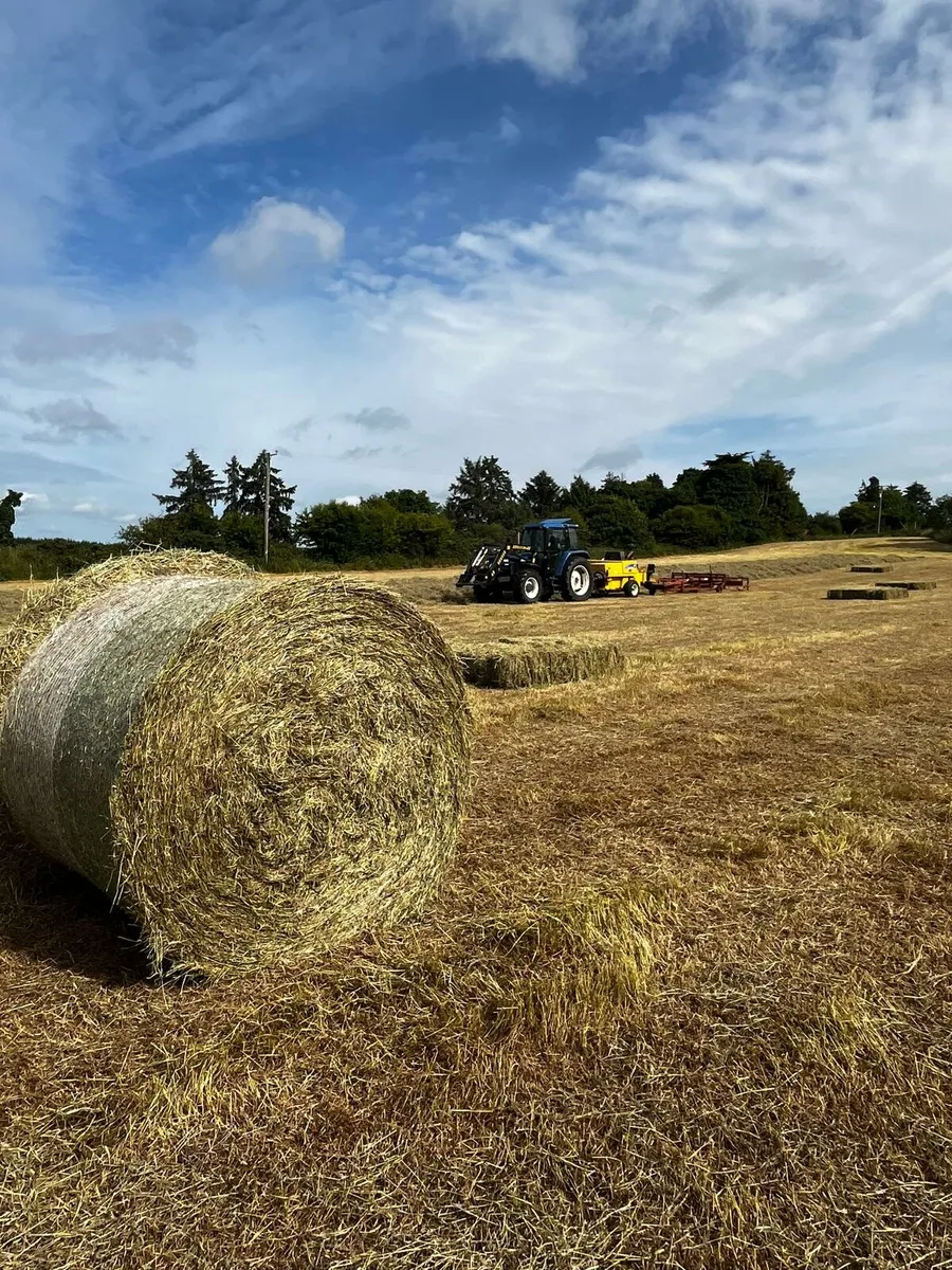 Hay & Haylage Small Square and Round Bales - Image 2