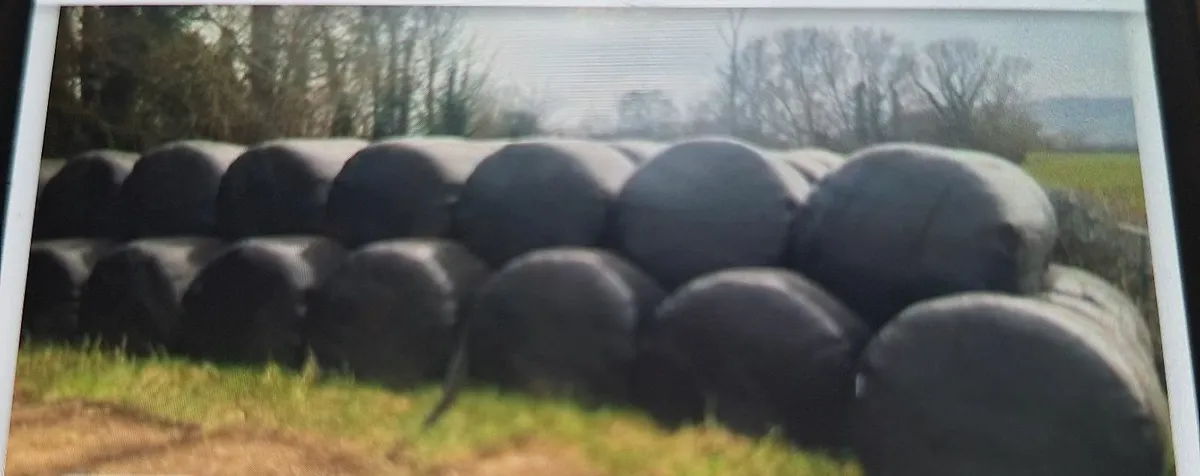 Round Wrapped Silage & Haylage Bales