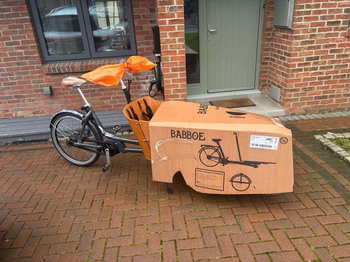Electric Cargo Bike - Image 1