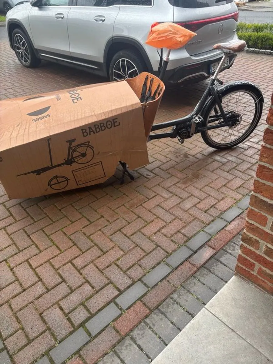 Electric Cargo Bike - Image 2