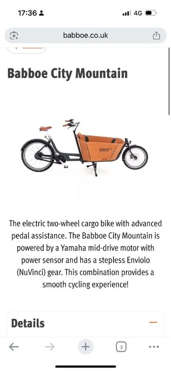 Electric Cargo Bike - Image 3