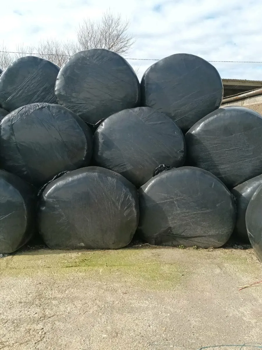 Silage bales