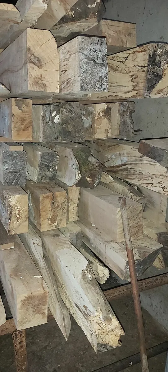 Beech timber beams - Image 2