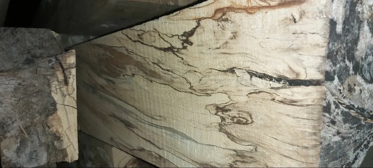 Beech timber beams - Image 3