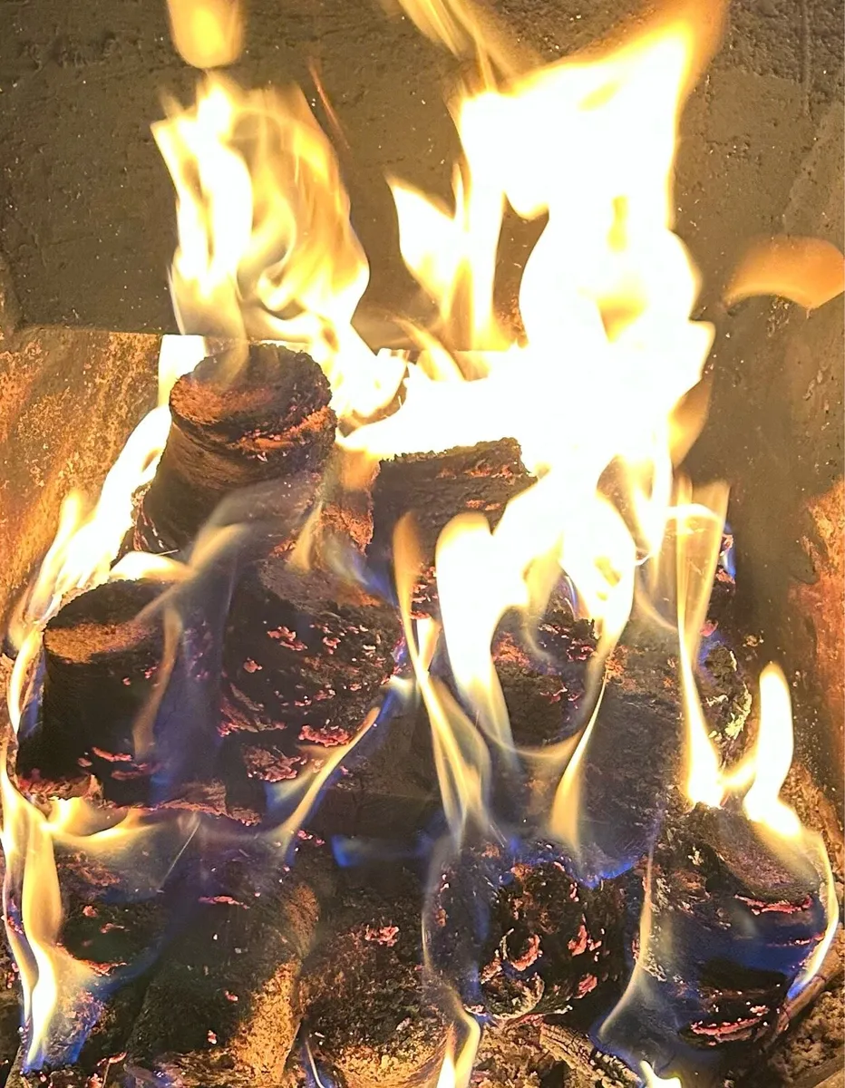 Dry pine pucks - briquettes - Image 2
