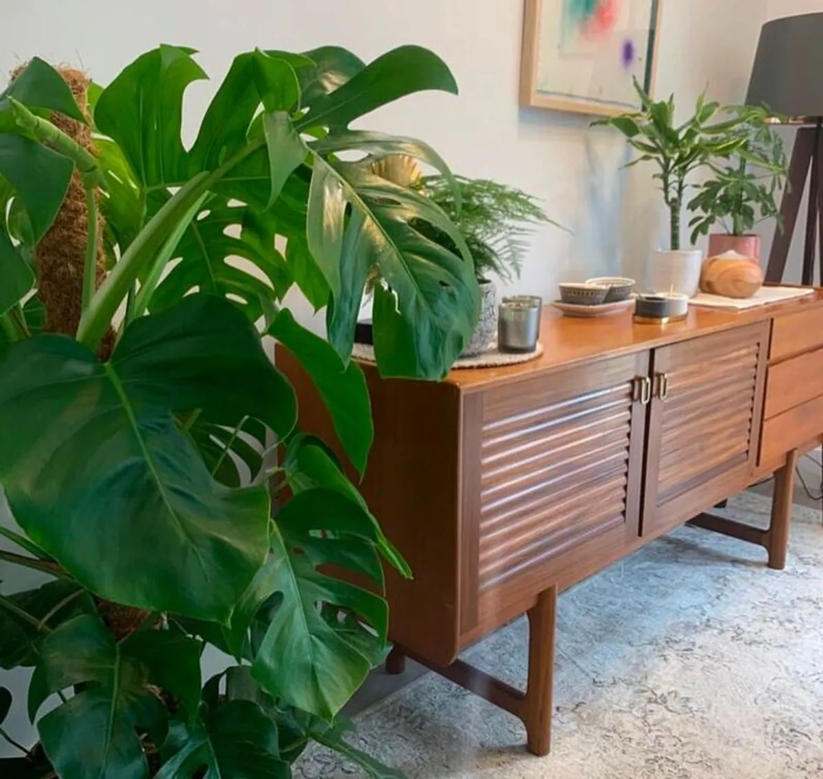 Mid- Century Sidebaord - Image 2