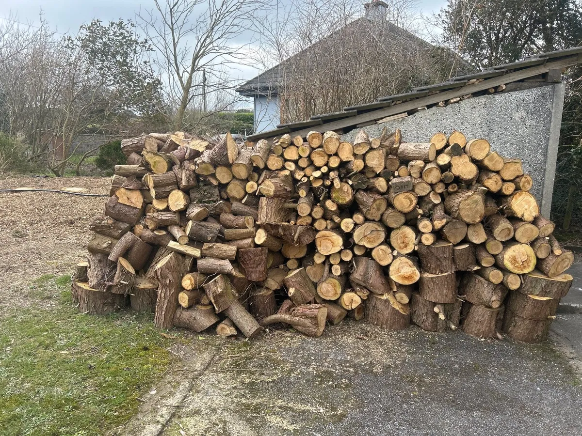 Timber logs