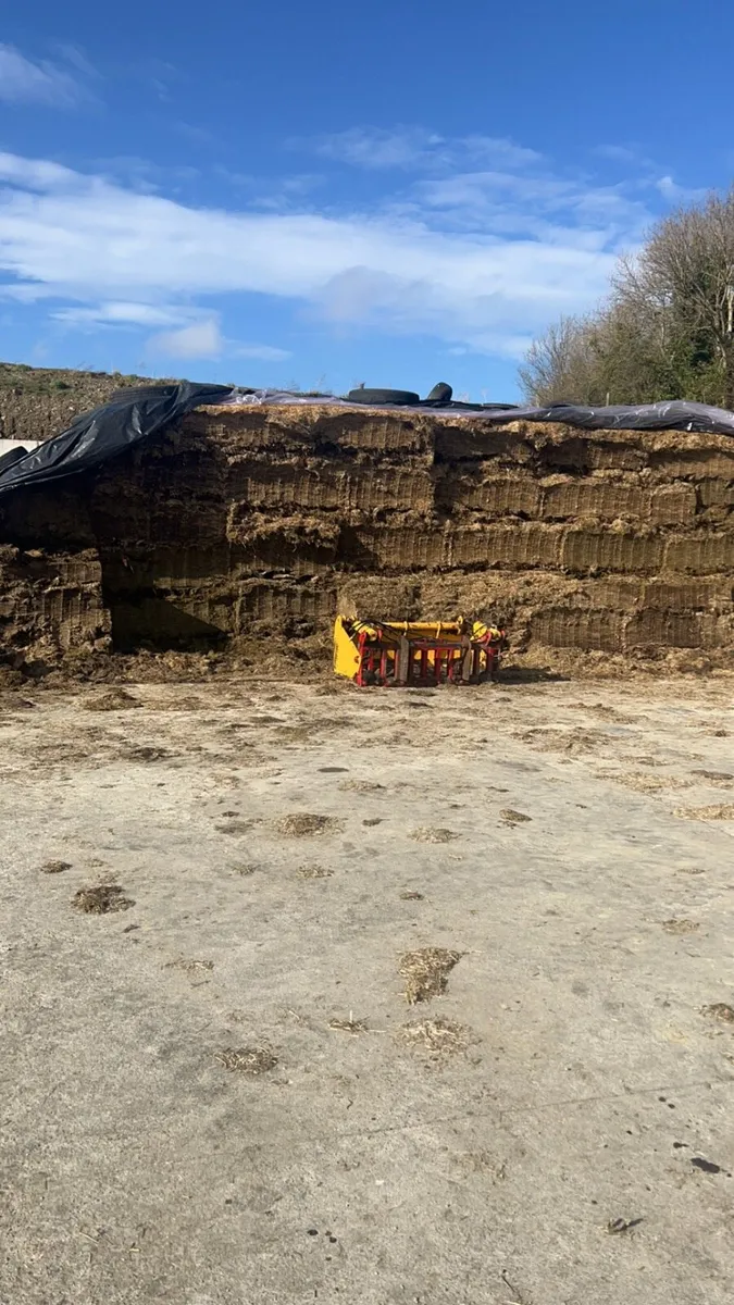 Pit silage for sale