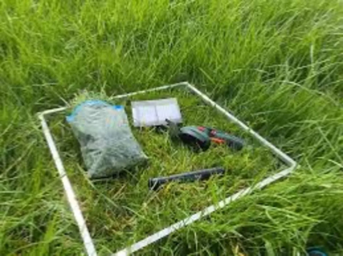 Grass measuring