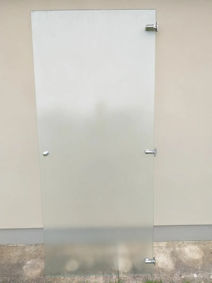 Shower Door. And side panel - Image 1