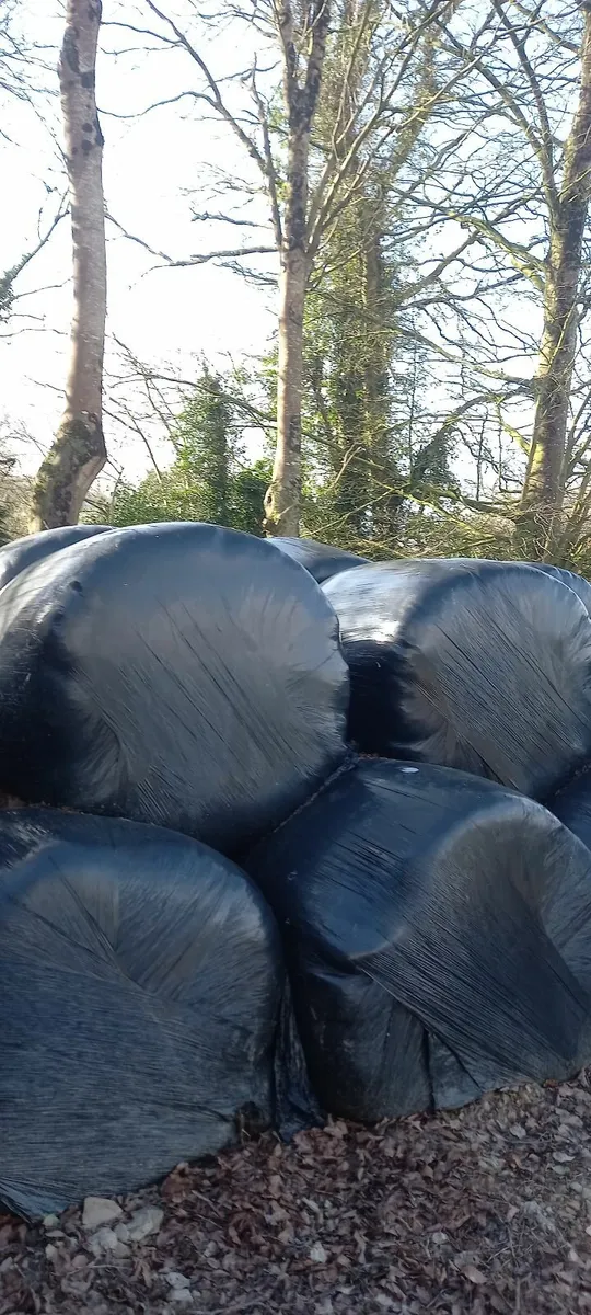Silage