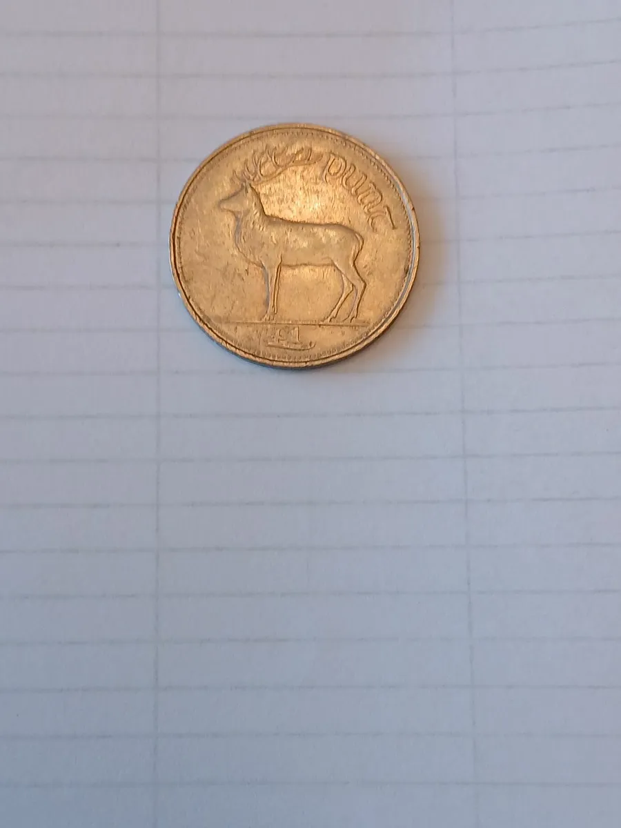 One Punt Coin - Image 1