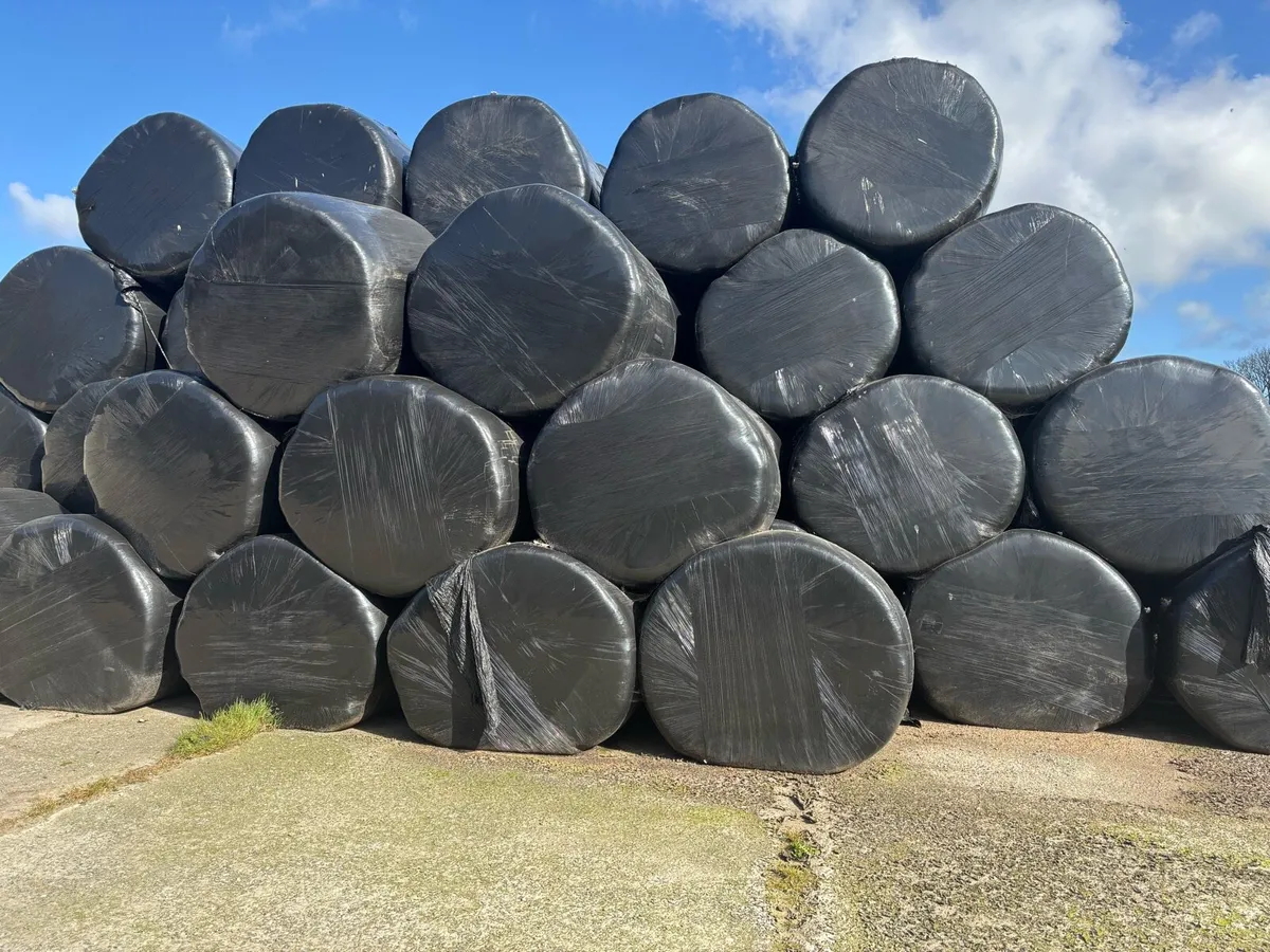 Hay n Haylage For Sale - Image 1
