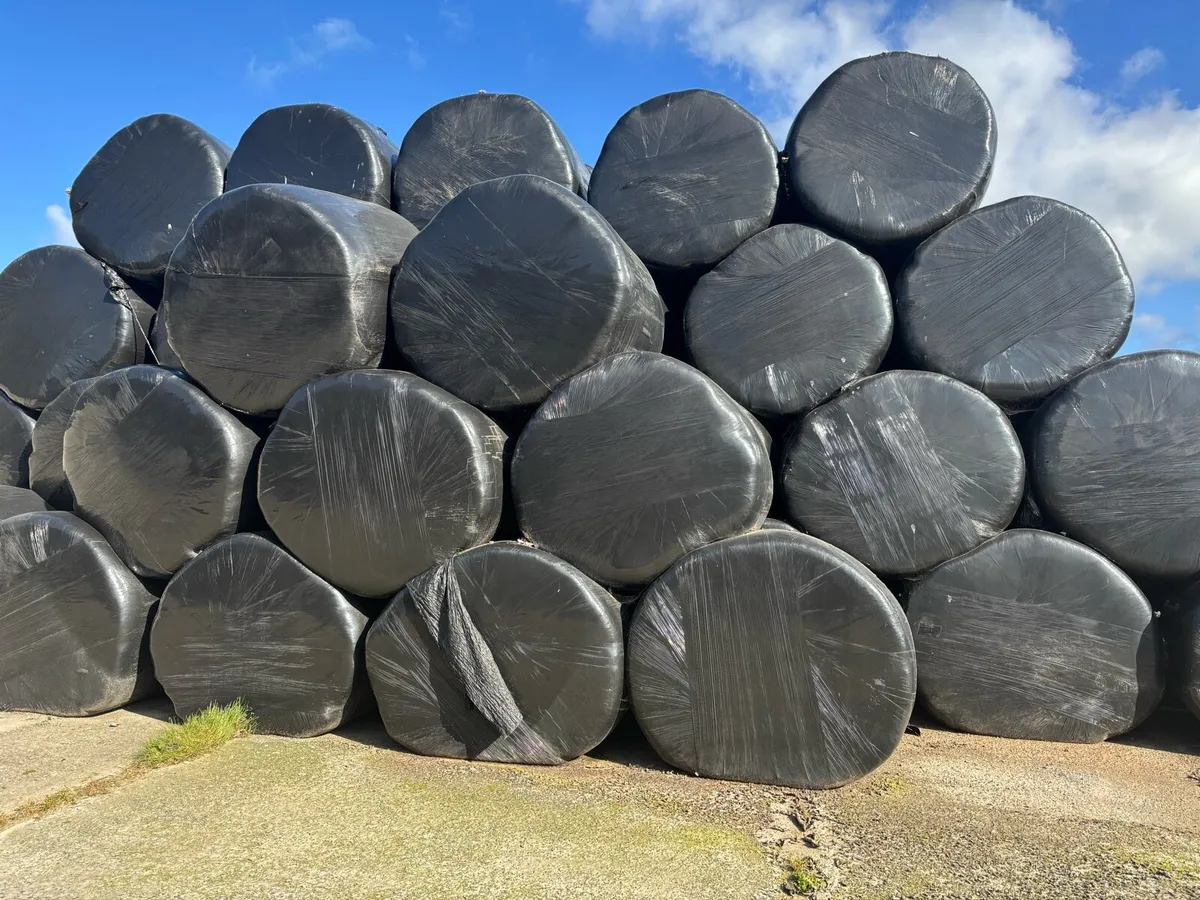 Hay n Haylage For Sale - Image 2
