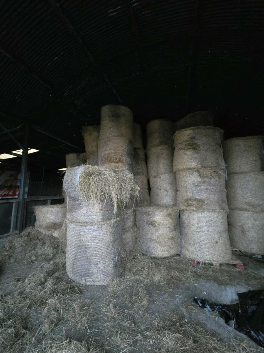 Organic Hay and silage
