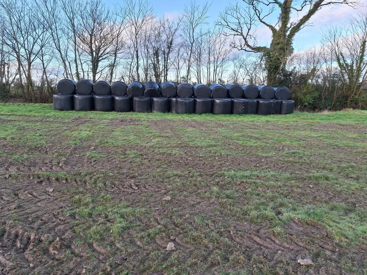 Silage bales - Image 2