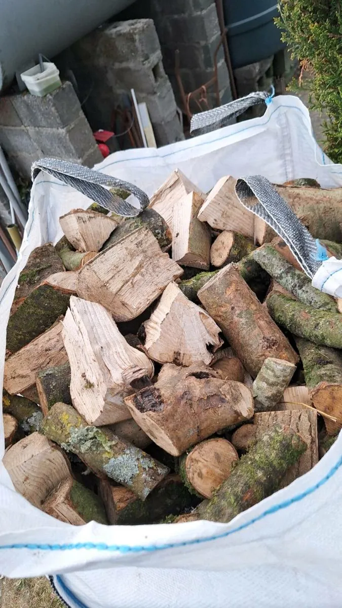 Hard wood Irish Timber - Image 1