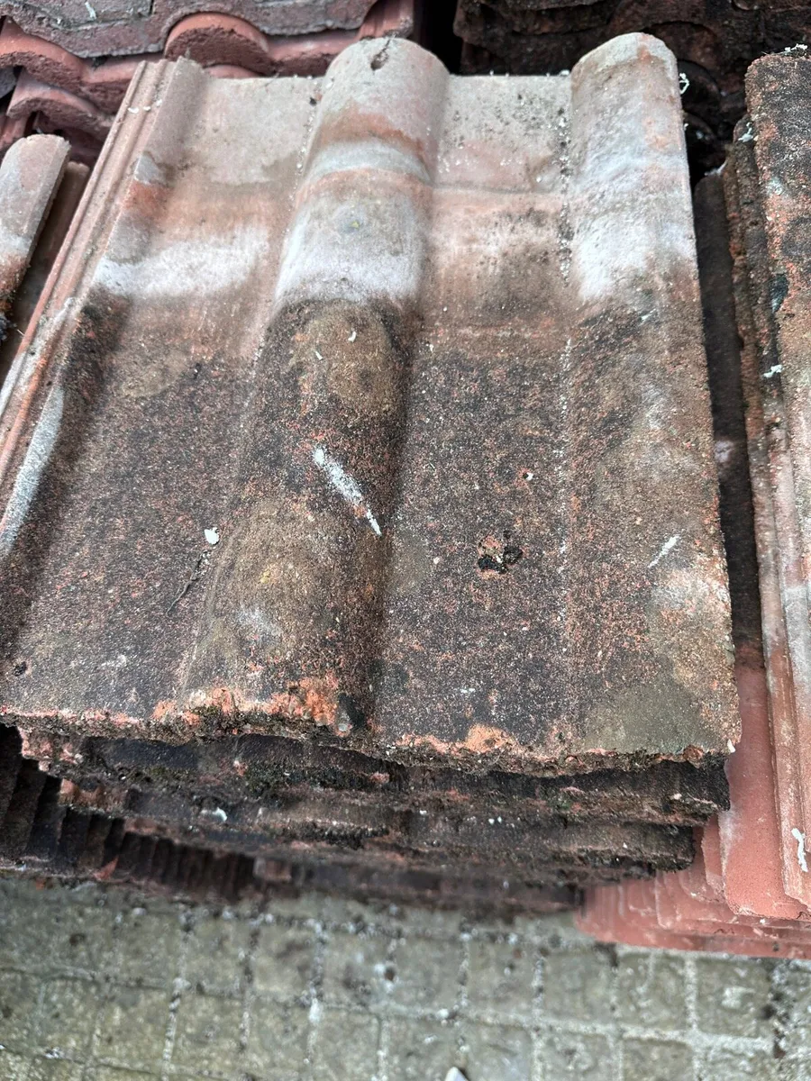 Roof Tiles - Image 3