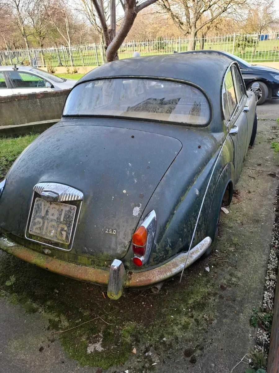 Daimler 1965  250 V8 - Image 2