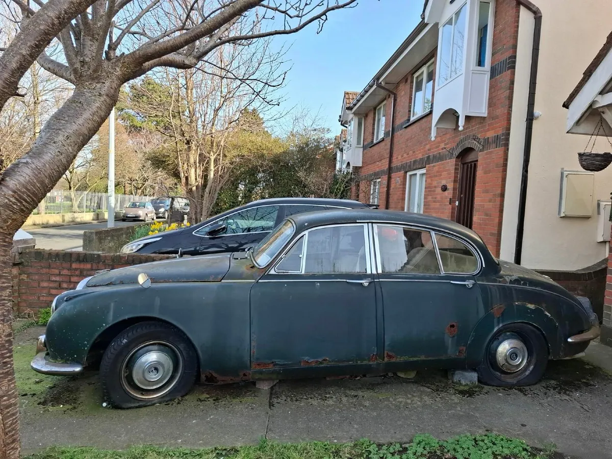 Daimler 1965  250 V8 - Image 3