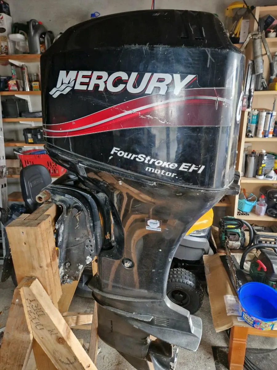 Mercury 60Hp EFI Outboard Engine - Image 2