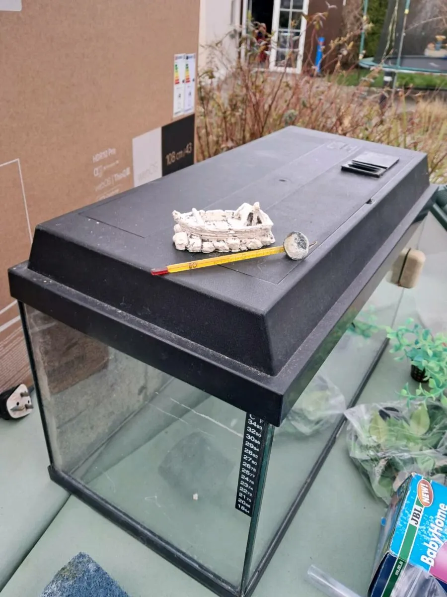 Fish Tank & breeding package - Image 2