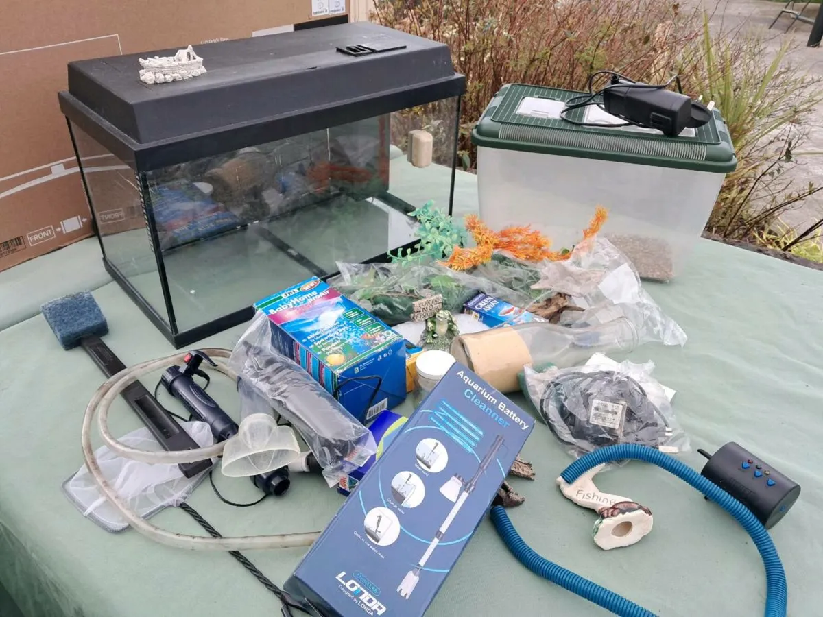 Fish Tank & breeding package - Image 1