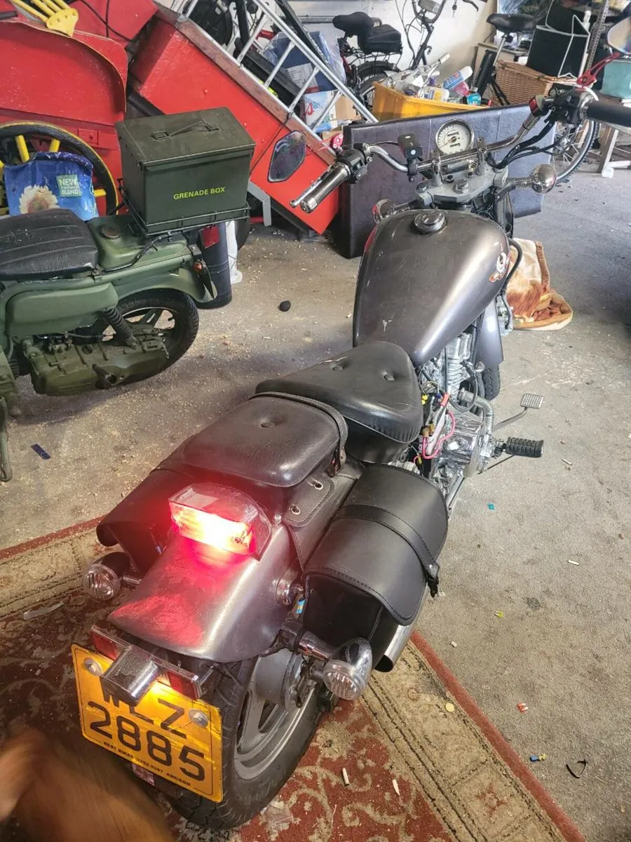 Ajs regal raptor - Image 2