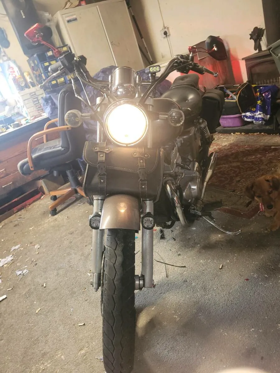 Ajs regal raptor - Image 3