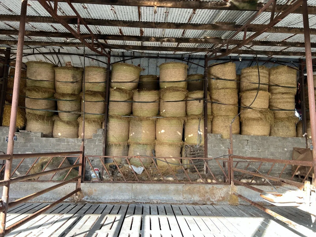 Hay and silage - Image 3