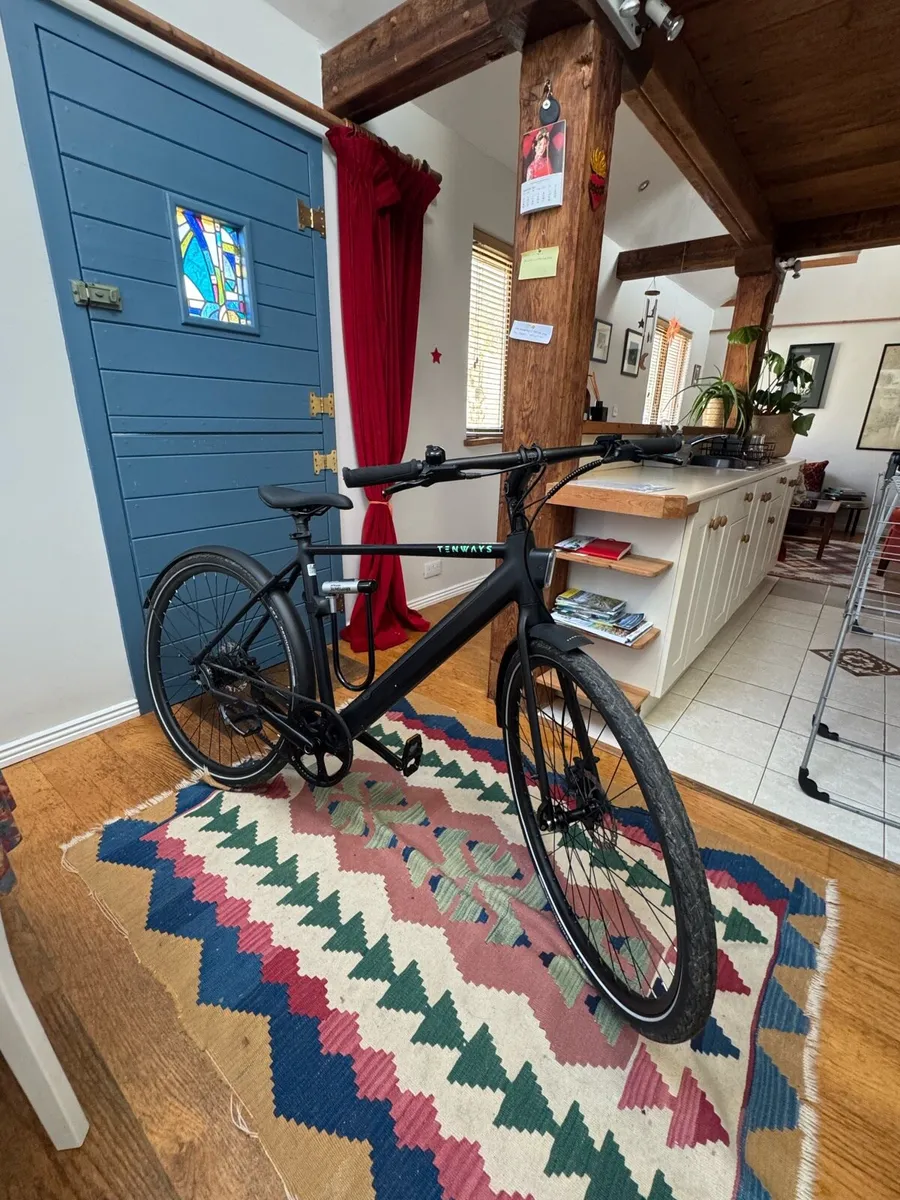 Tenways Electric Bike matte black - Image 1