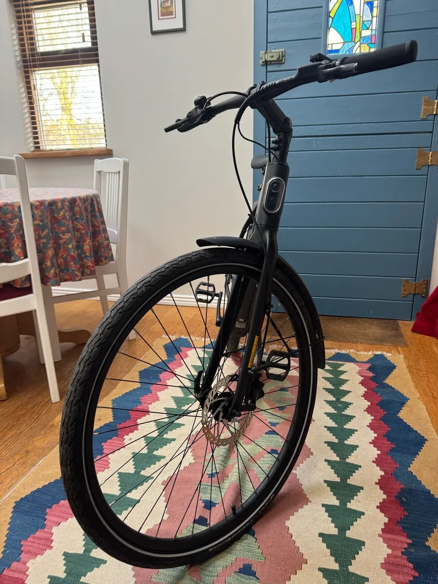 Tenways Electric Bike matte black - Image 2